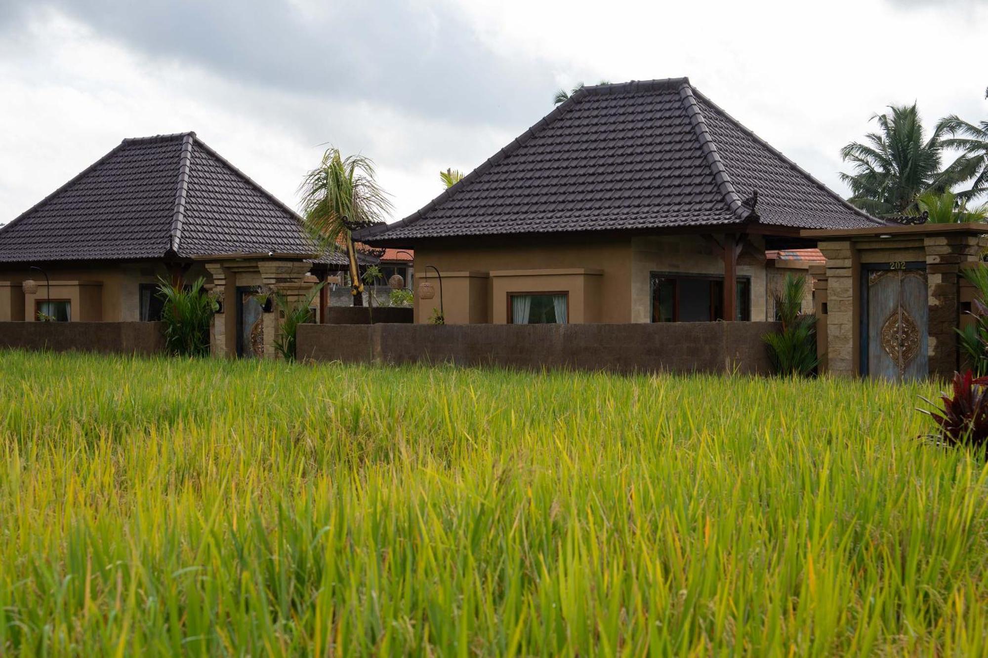 Sawah Sebatu Villa Ubud Exteriér fotografie