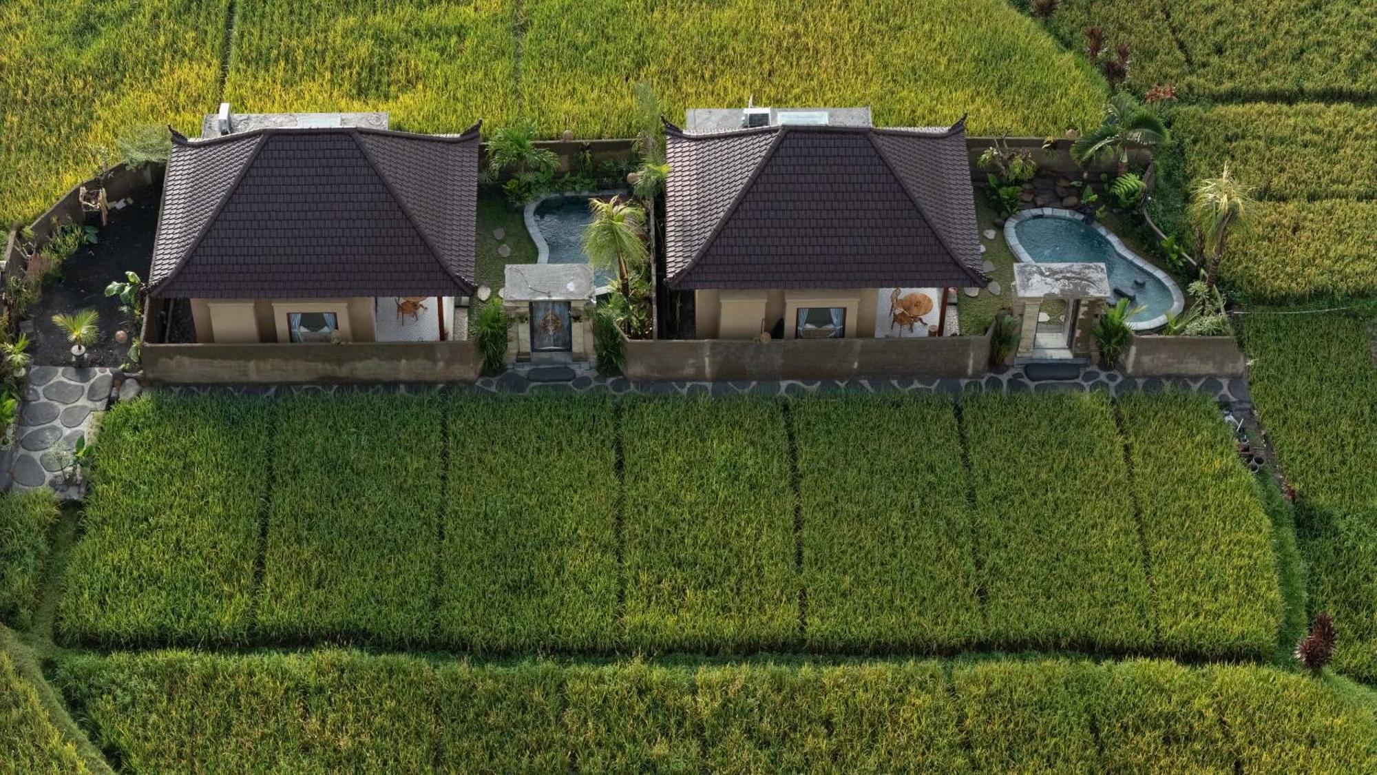 Sawah Sebatu Villa Ubud Exteriér fotografie