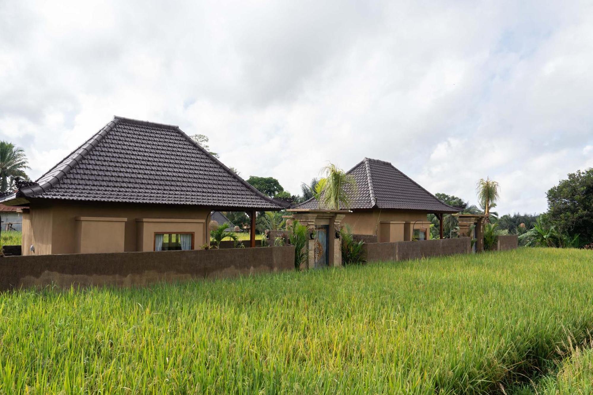 Sawah Sebatu Villa Ubud Exteriér fotografie