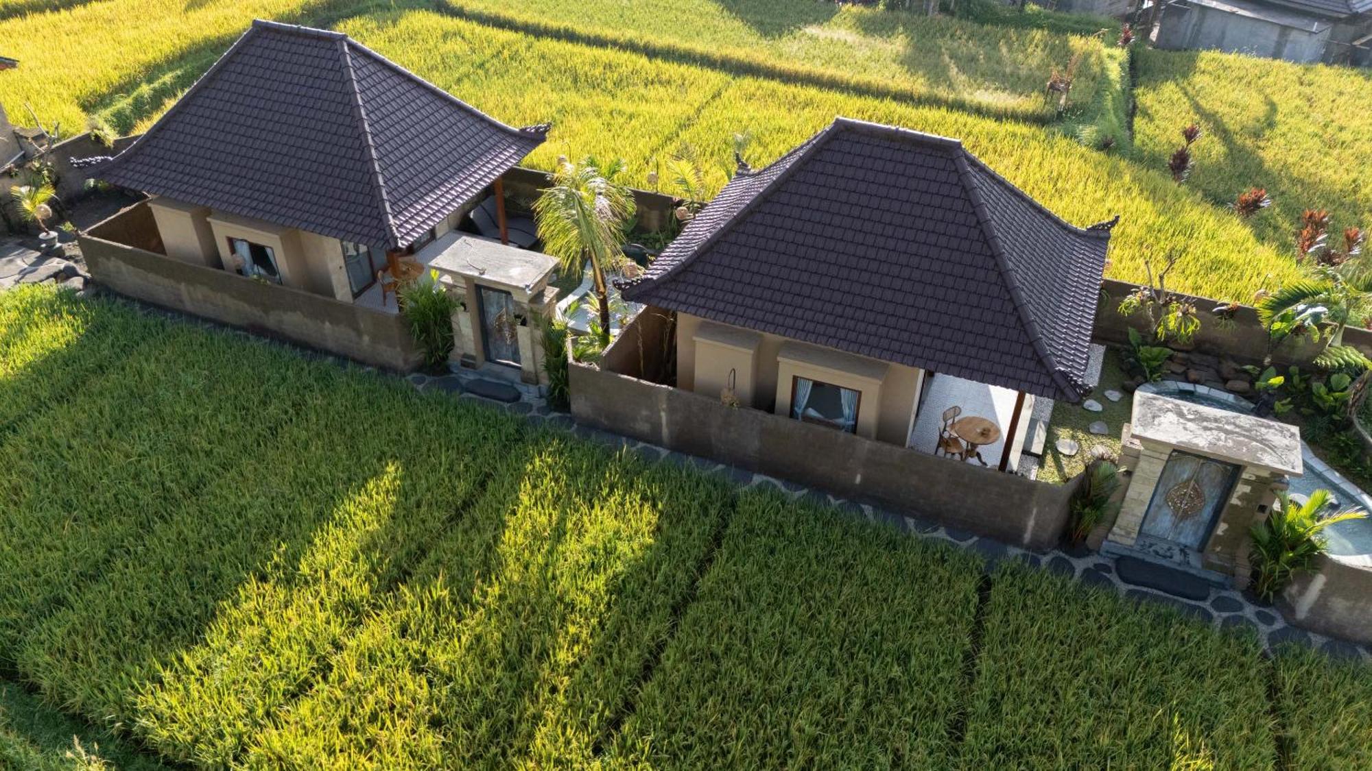 Sawah Sebatu Villa Ubud Exteriér fotografie