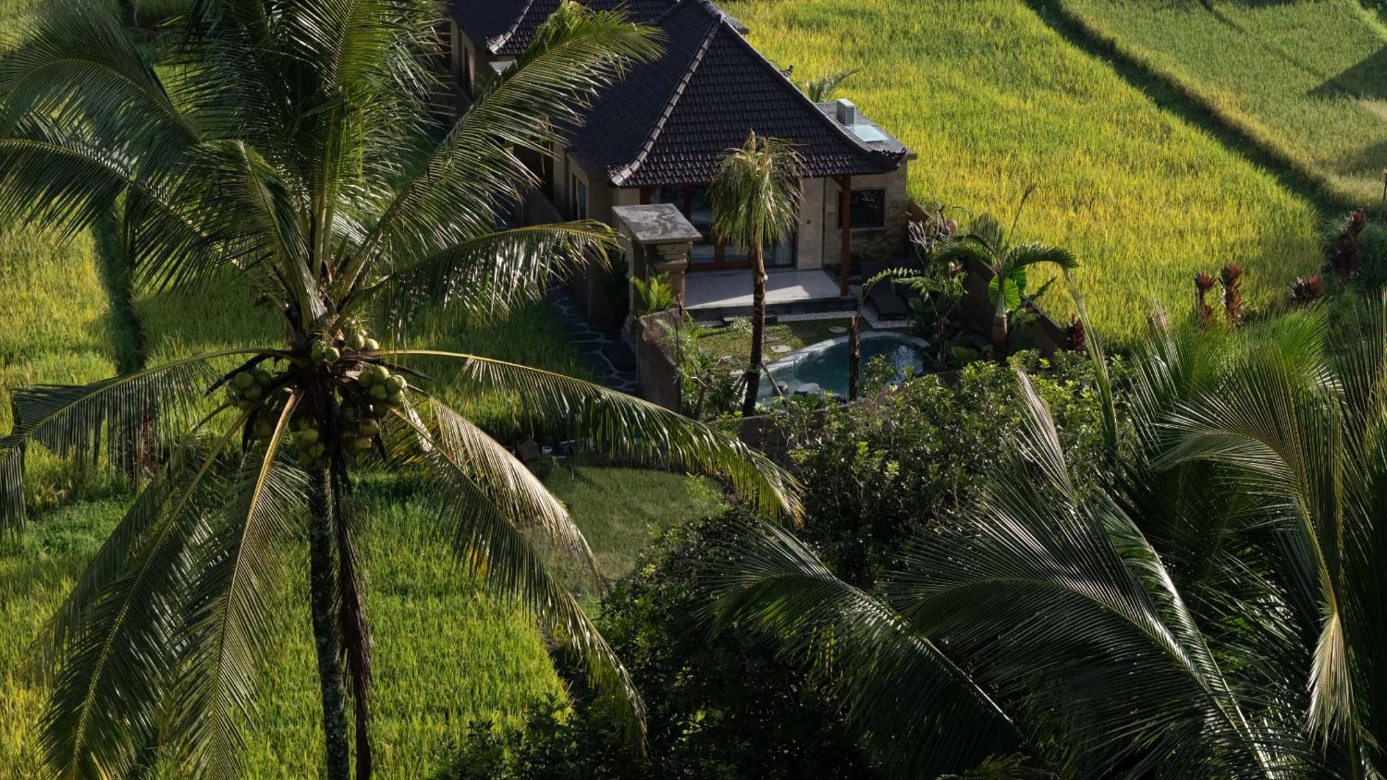 Sawah Sebatu Villa Ubud Exteriér fotografie