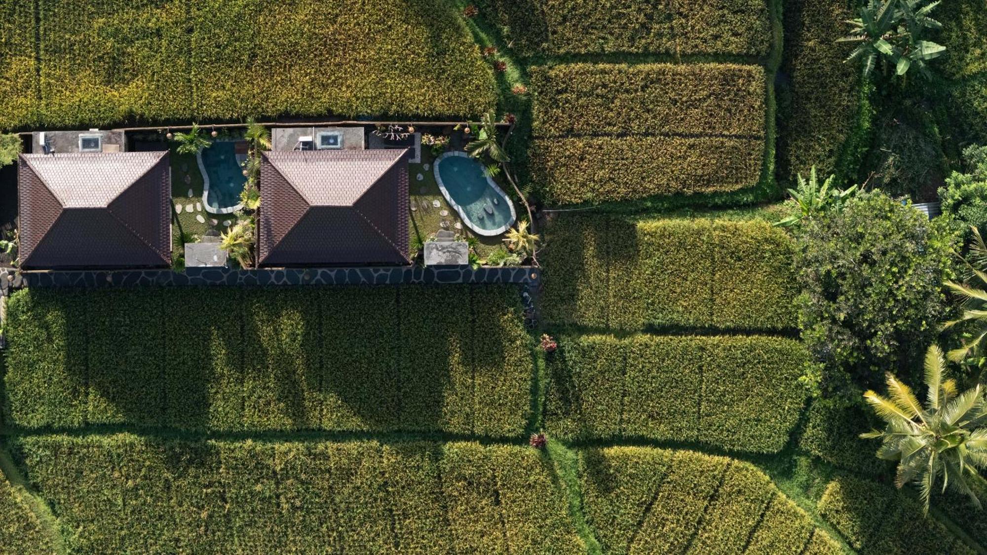 Sawah Sebatu Villa Ubud Exteriér fotografie